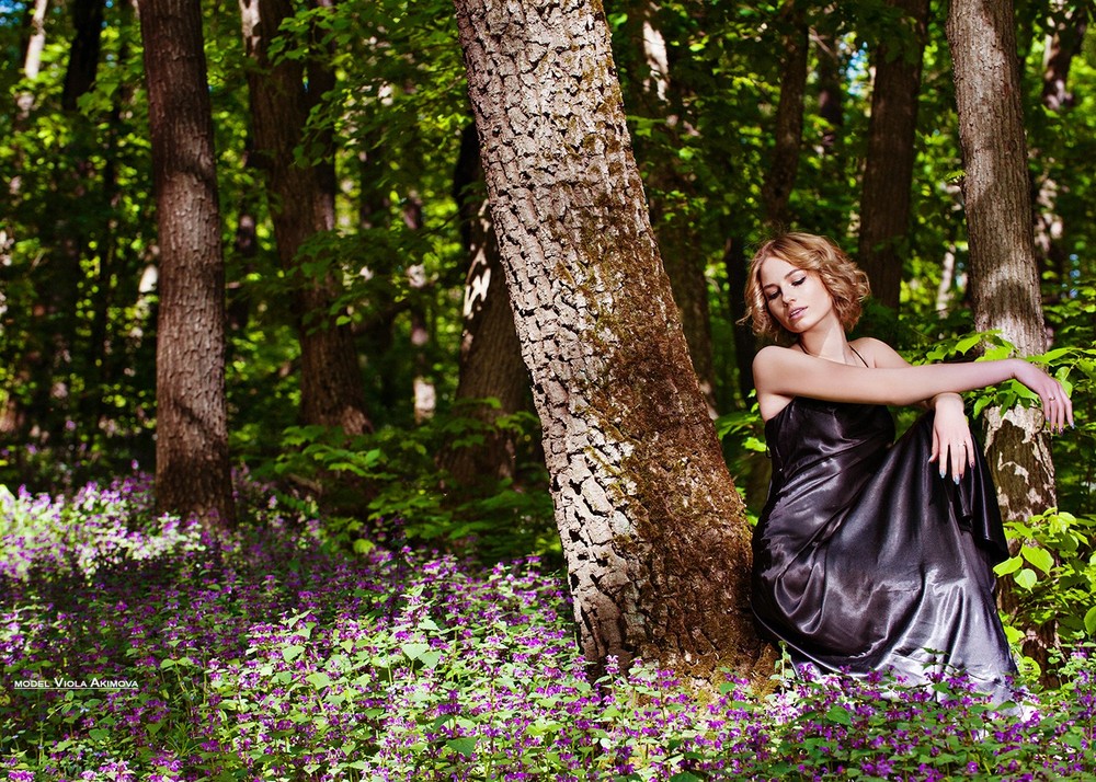 VIOLA in the forest