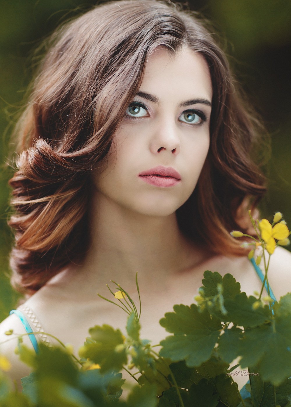 Darina