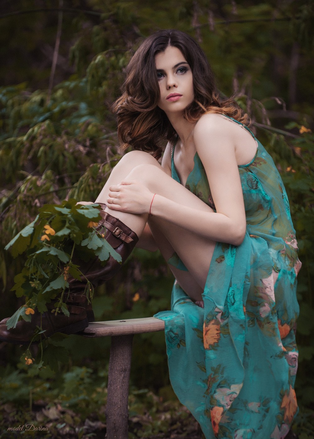 Darina