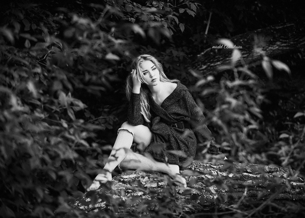 Wild world