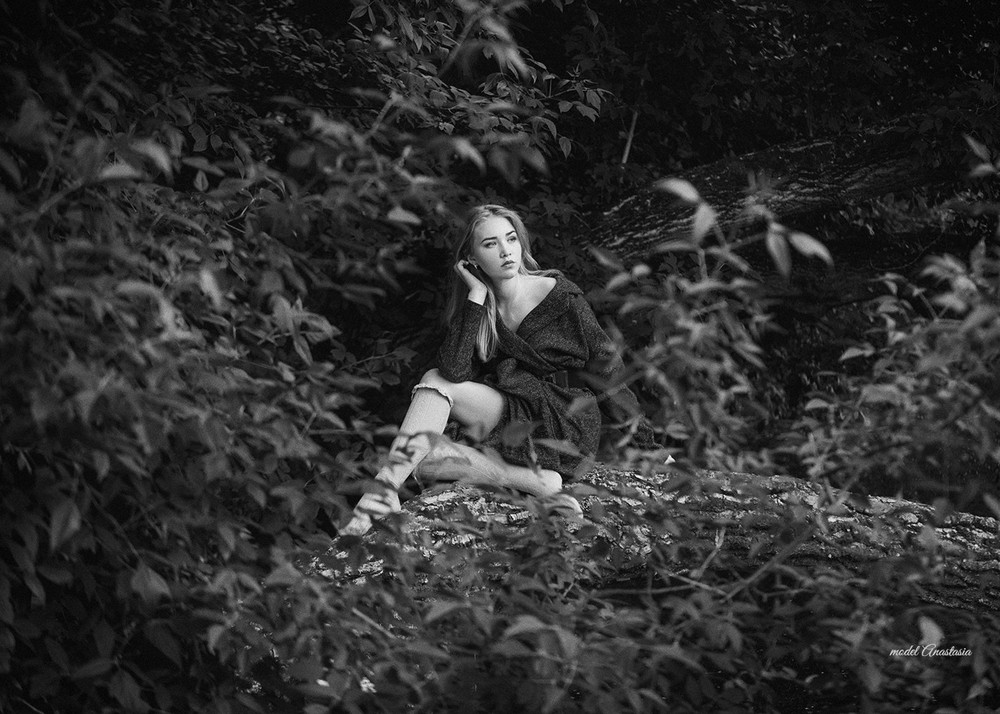 Wild world