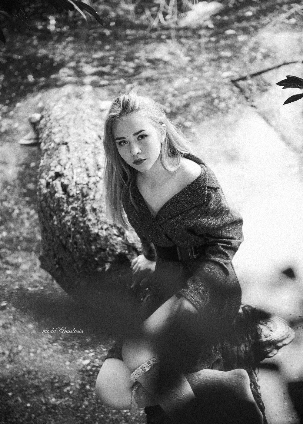 Wild world