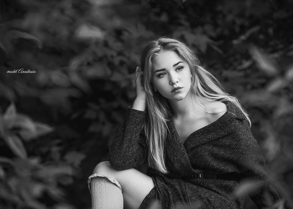 Wild world