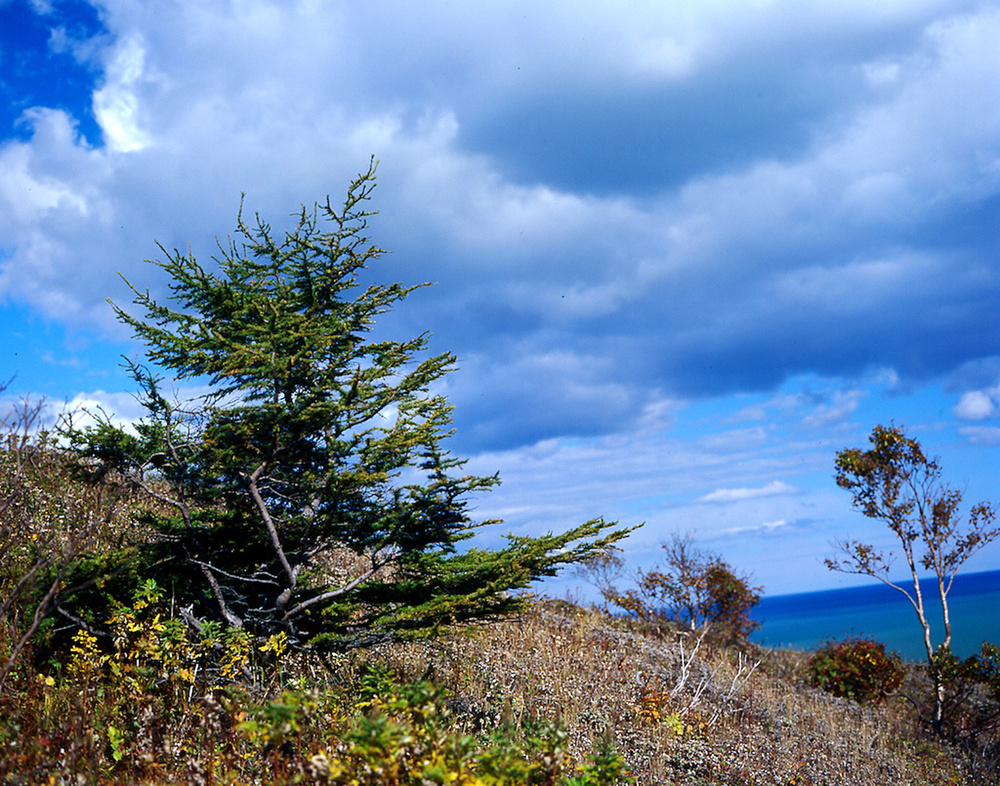 SAKHALIN