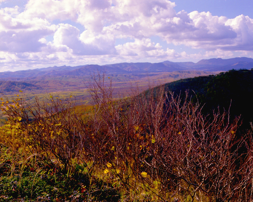 SAKHALIN