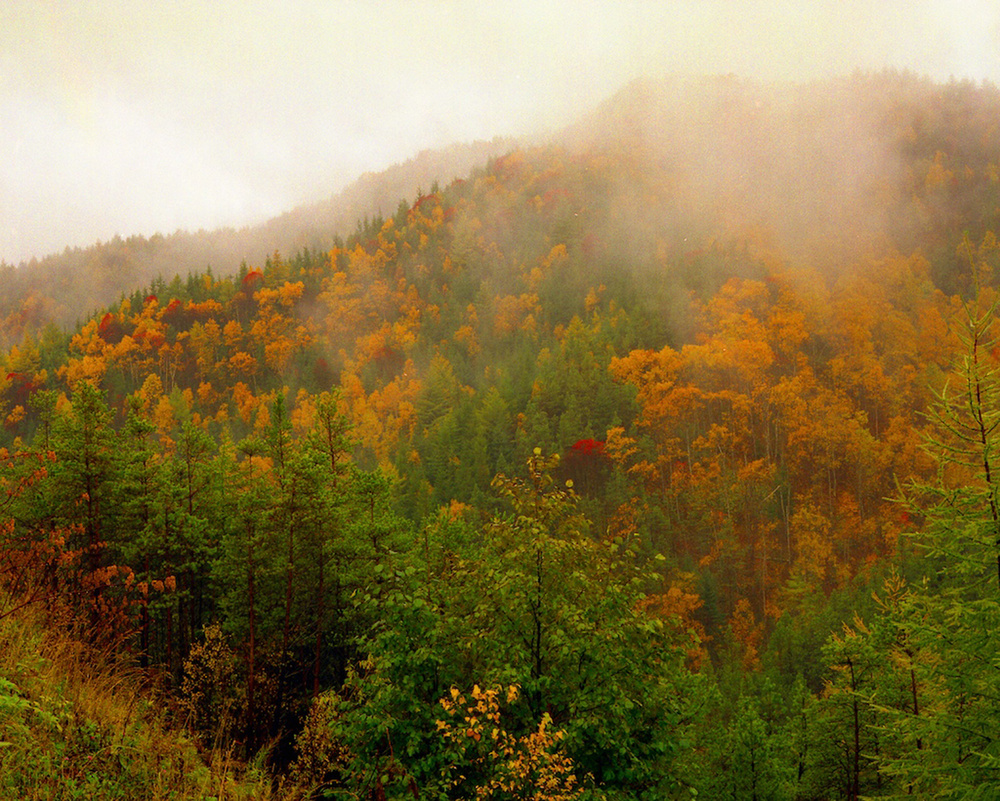 SAKHALIN