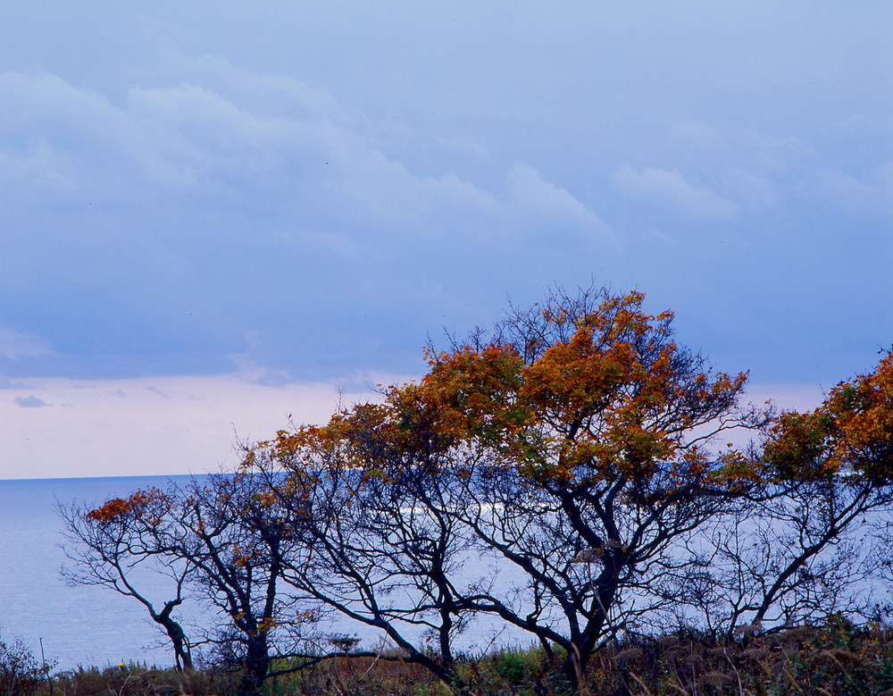 SAKHALIN