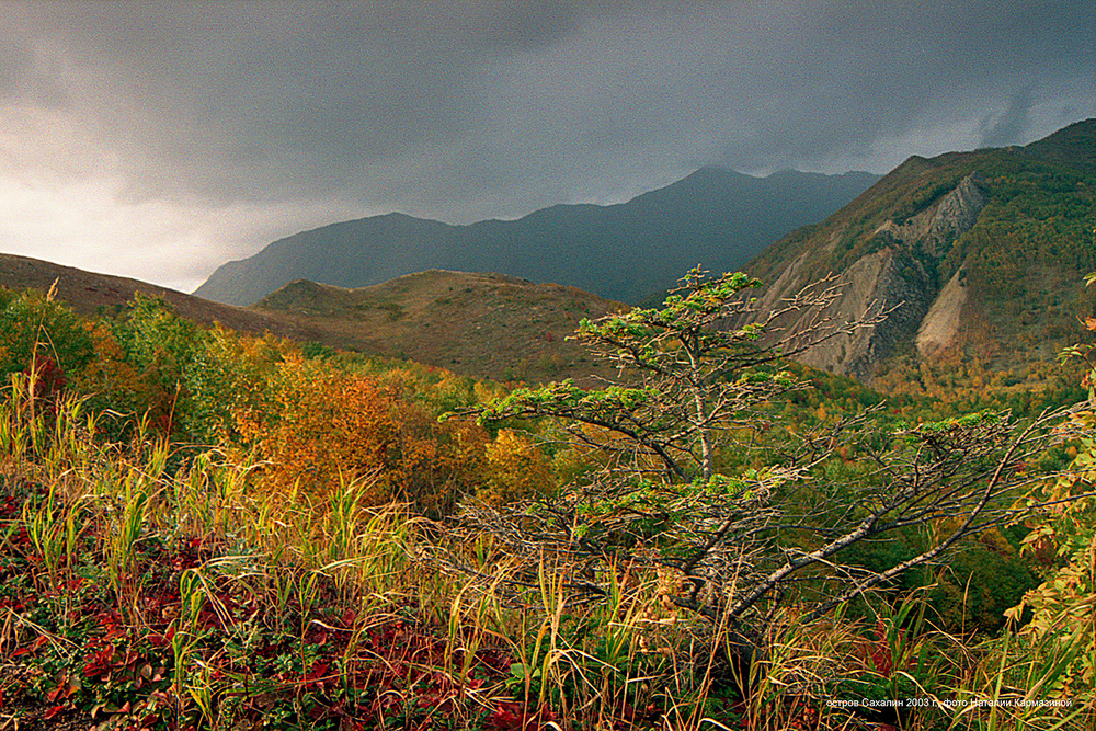 SAKHALIN