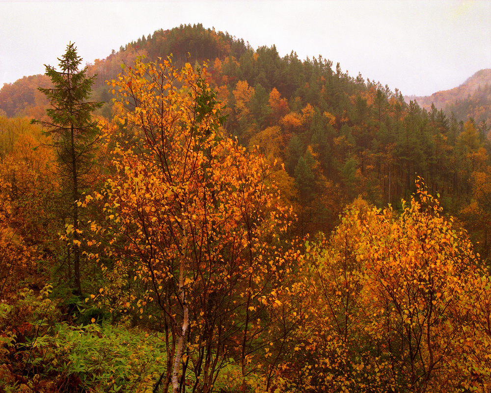 SAKHALIN