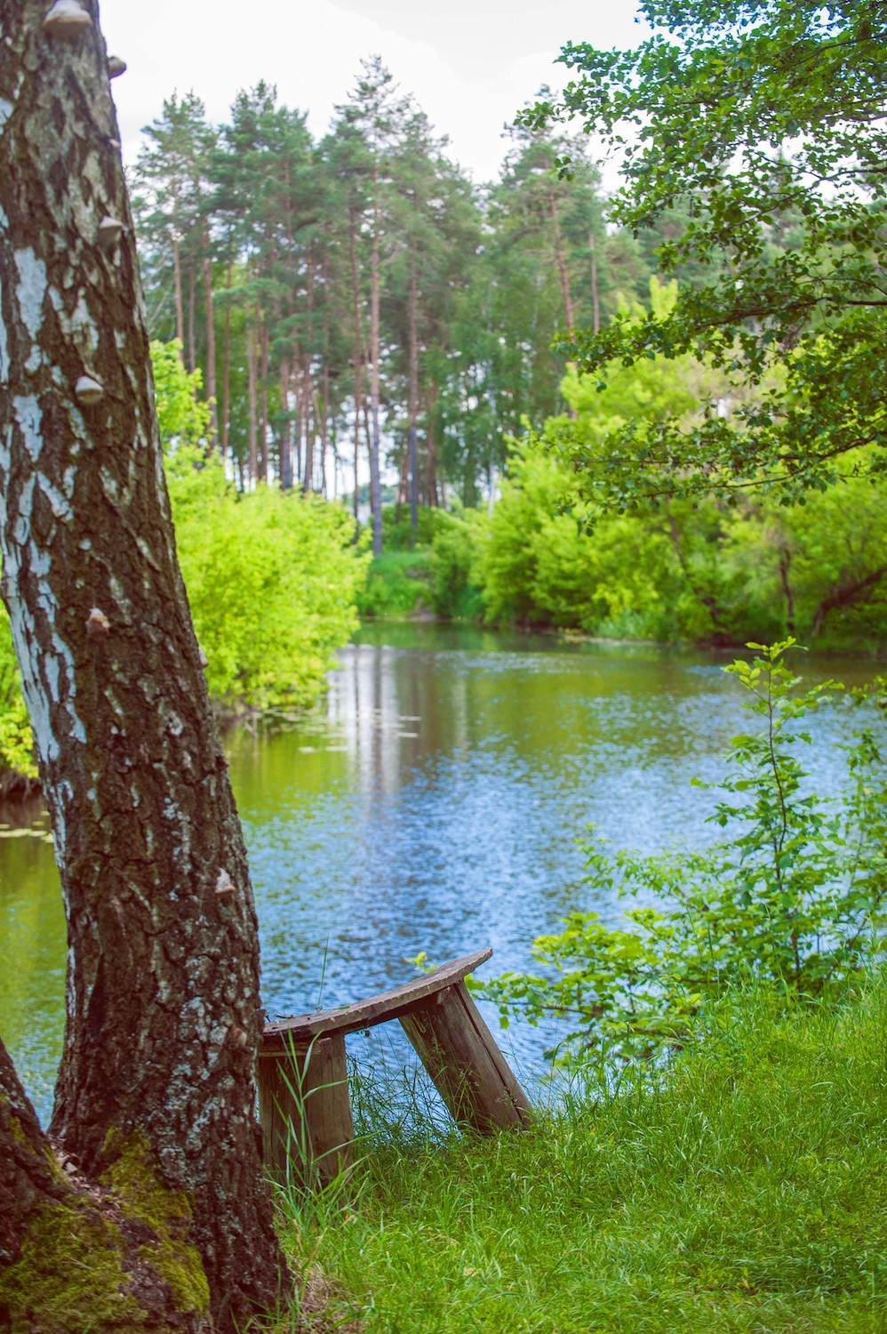 Getmanskiy park, Velika-Pisarevka