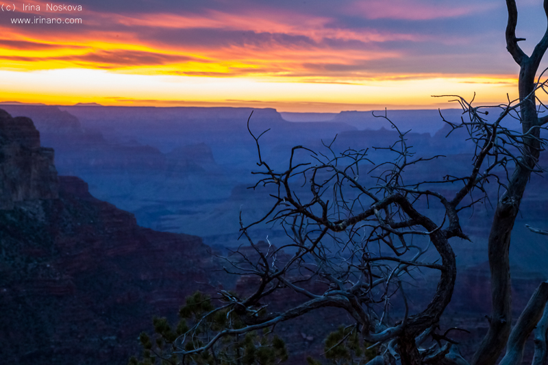 Travel - Canyons. USA.