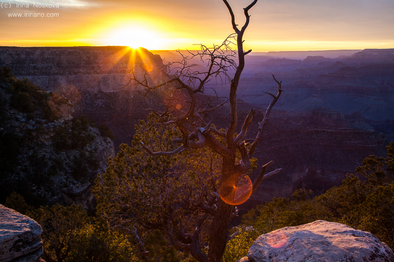 Travel - Canyons. USA.