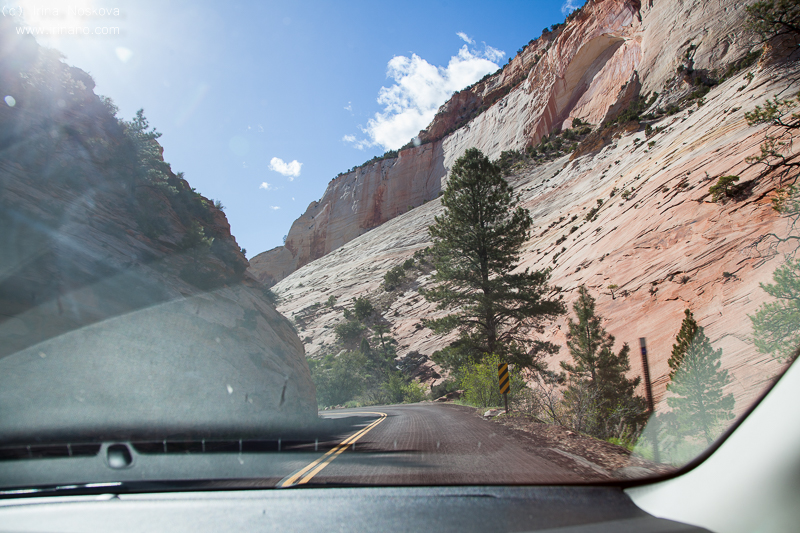Zion National Park, Utah, USA