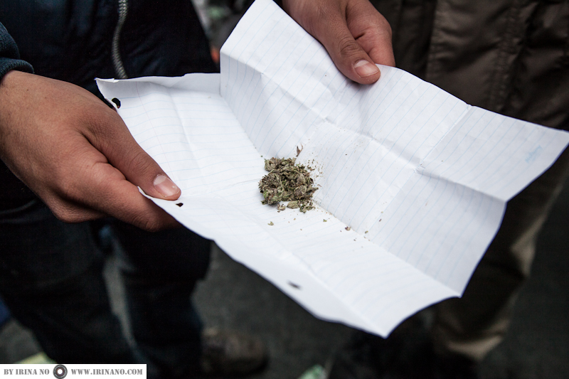 Reportage - Marijuana Fest 420. 2013