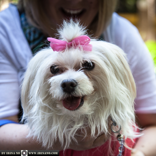 Reportage - Woofstock 2013. Toronto