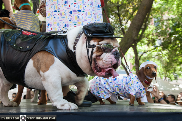 Reportage - Woofstock 2013. Toronto