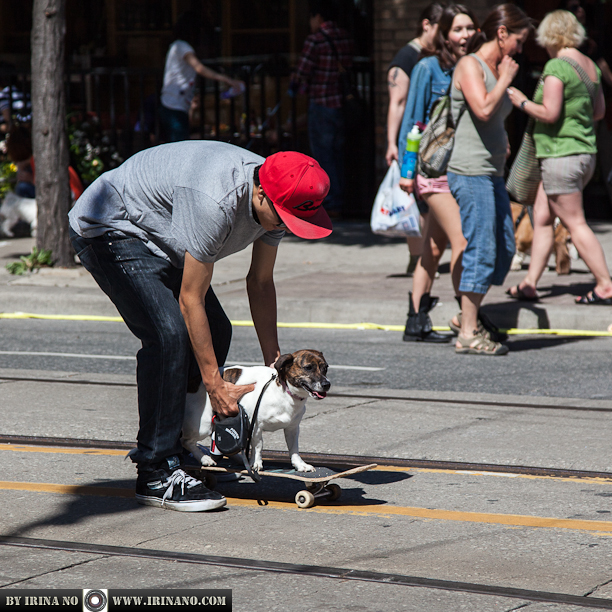 Reportage - Woofstock 2013. Toronto