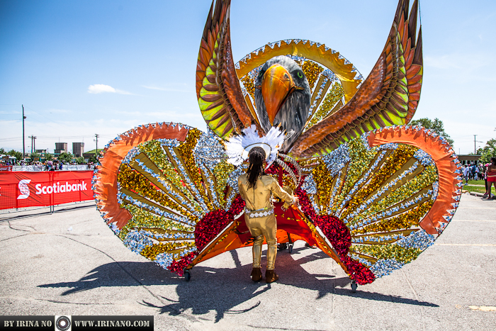 Reportage - Junior Caribana, 20.07.2013. Toronto