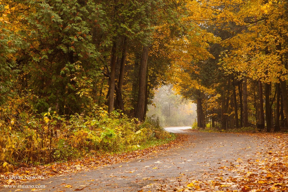 Travel - Ontario