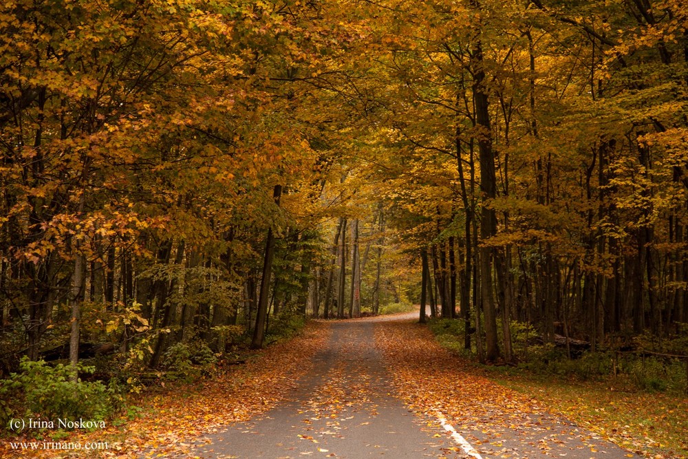 Travel - Ontario