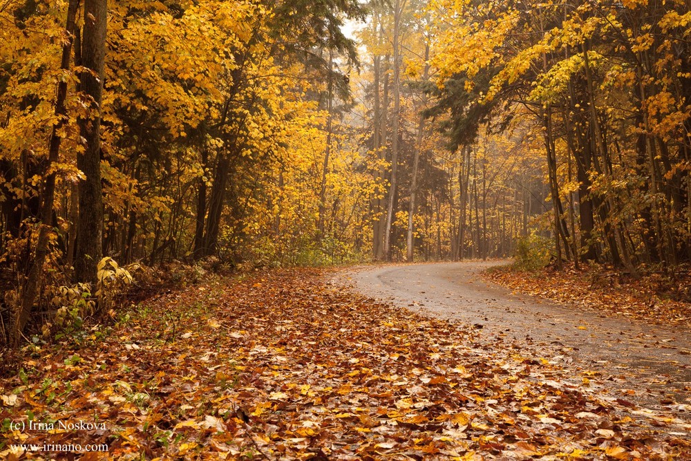 Travel - Ontario