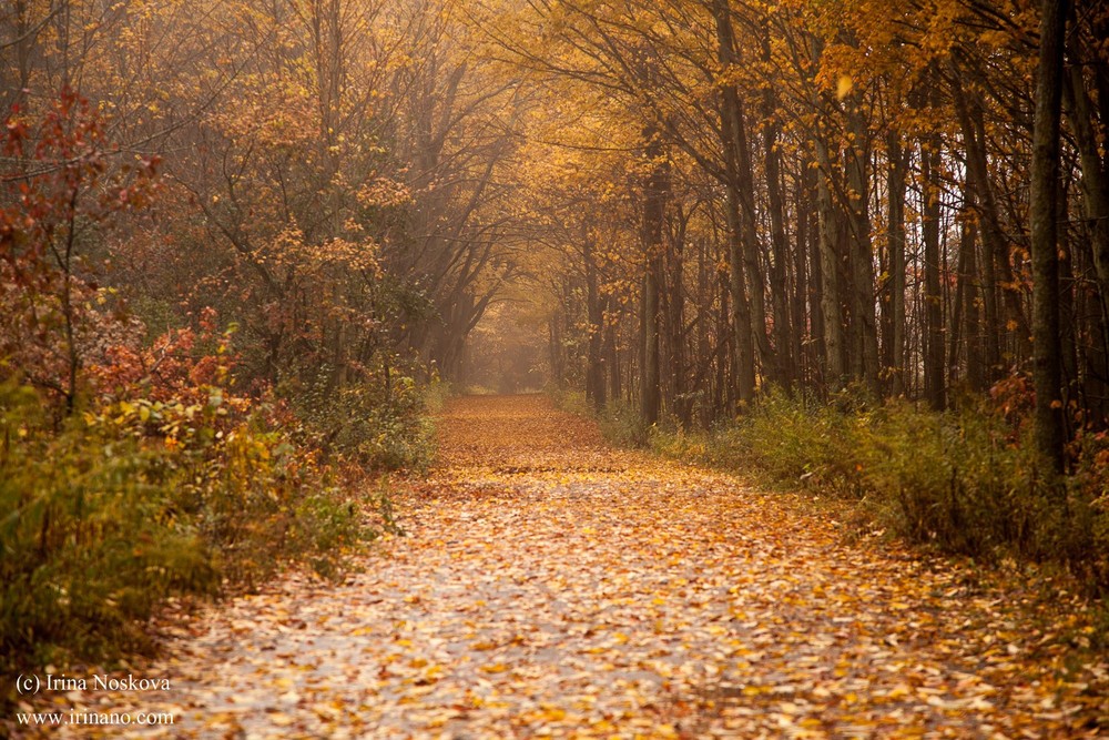 Travel - Ontario