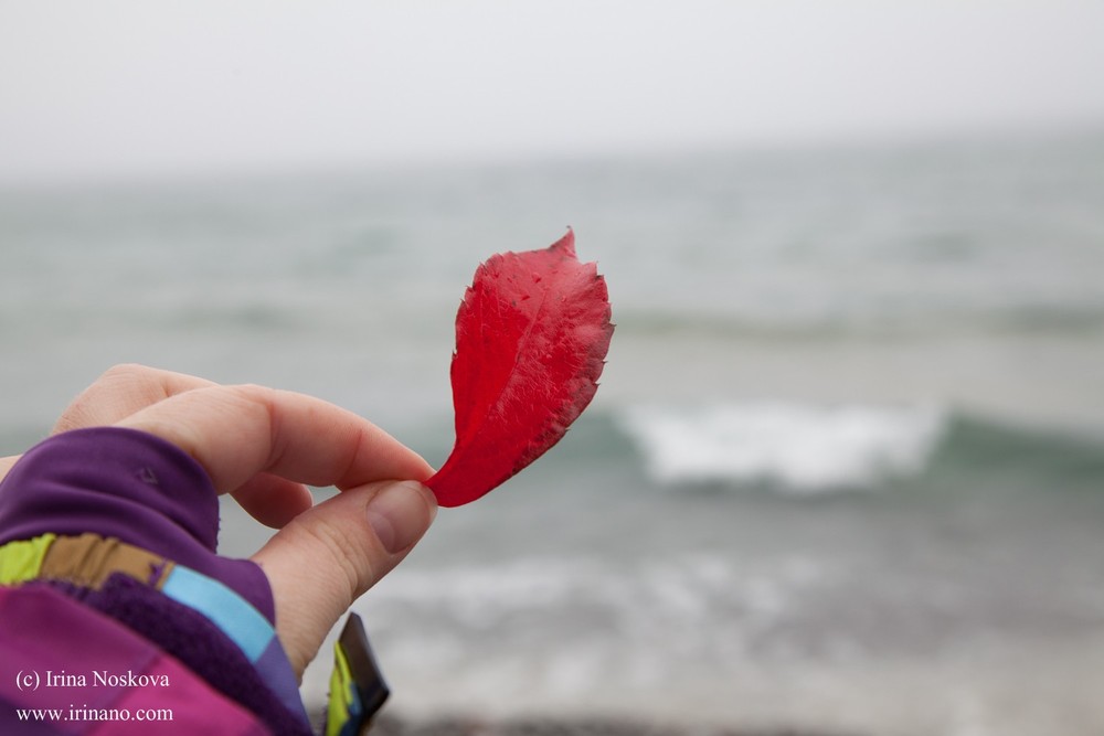 Travel - Ontario