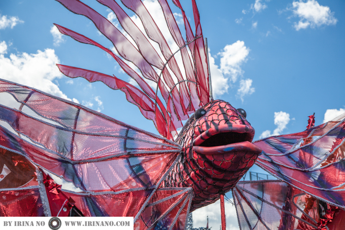 Reportage - Caribana Parade