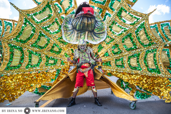 Reportage - Caribana Parade