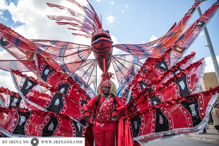 Reportage - Caribana Parade