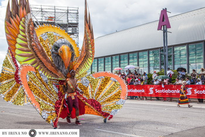 Reportage - Caribana Parade
