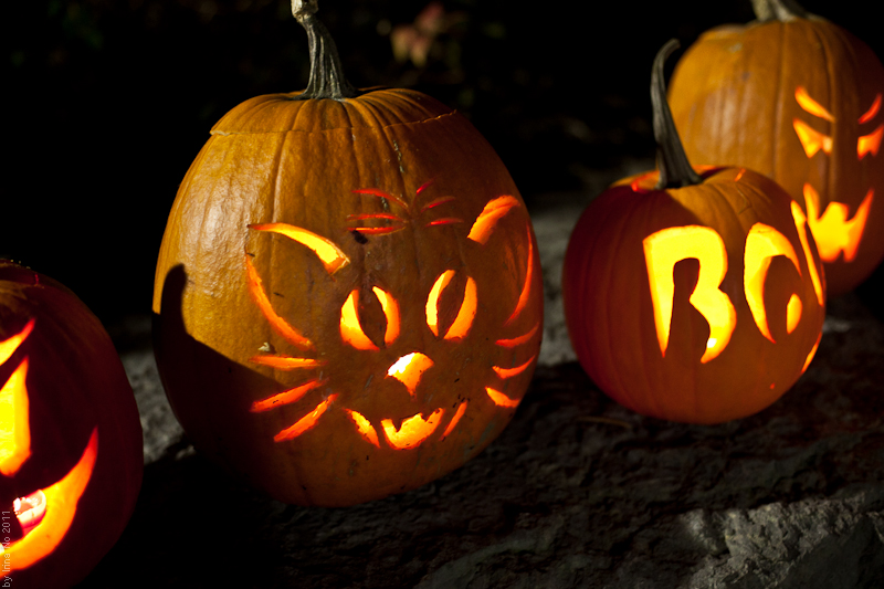 Reportage - Toronto Pumpkin Parade 2011