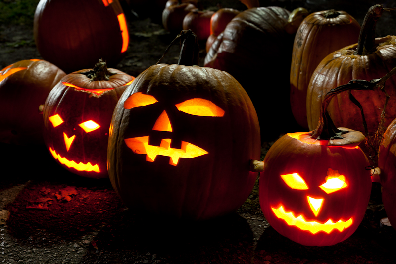 Reportage - Toronto Pumpkin Parade 2011