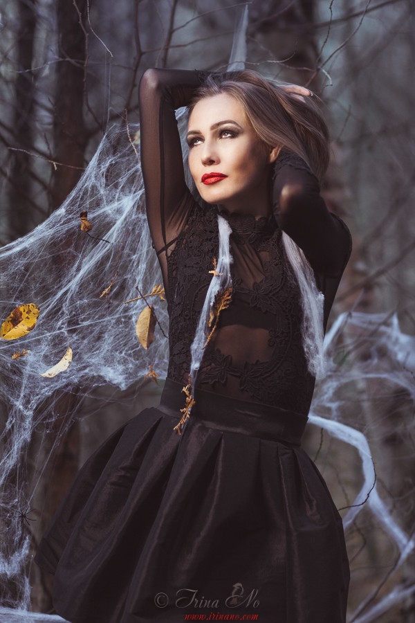 Art - Spider