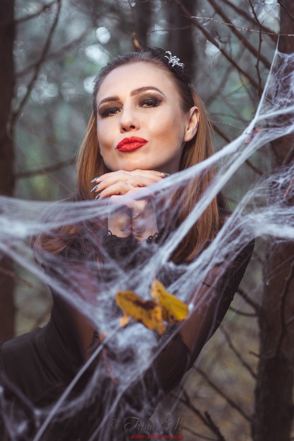 Art - Spider