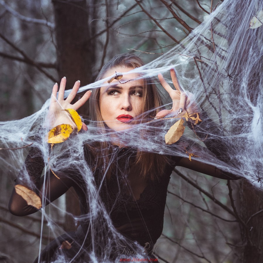 Art - Spider