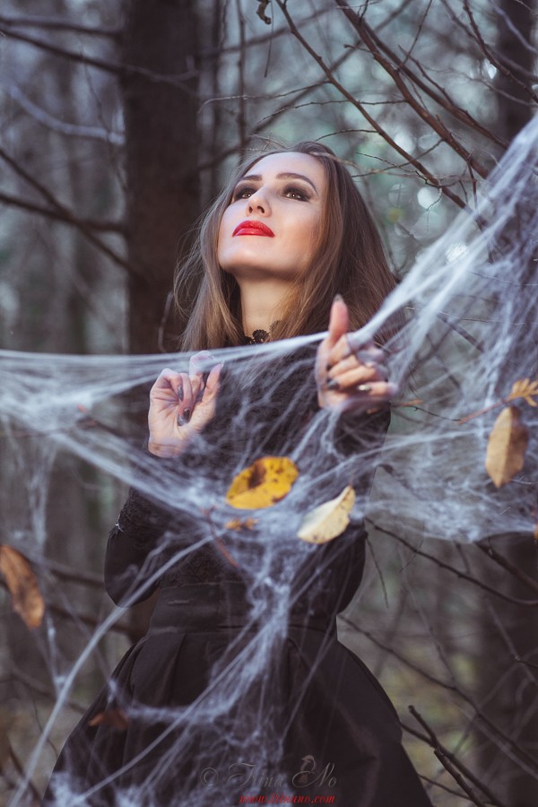 Art - Spider