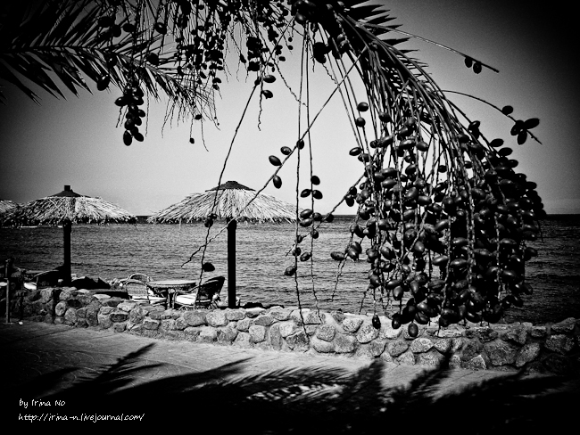 Travel - Egypt. Dahab