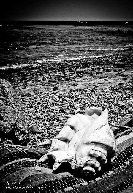 Travel - Egypt. Dahab