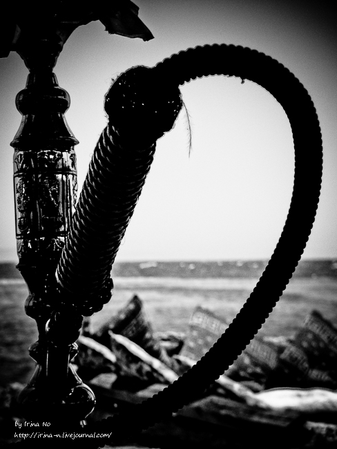 Travel - Egypt. Dahab