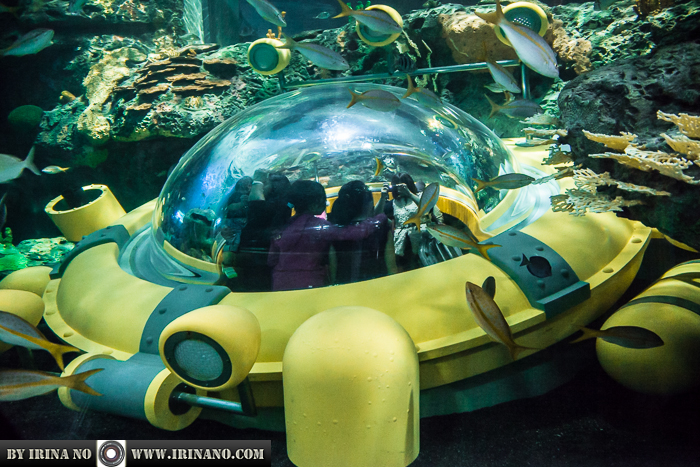 Reportage - Ripley`s Aquarium of Toronto