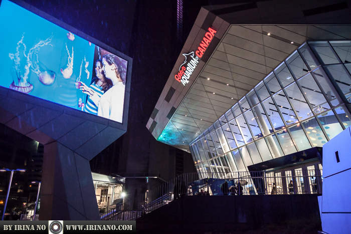 Reportage - Ripley`s Aquarium of Toronto