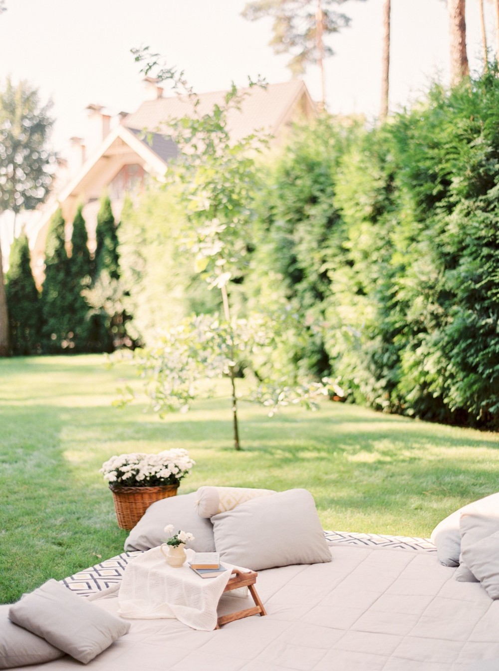 Summer Family session on the backyard