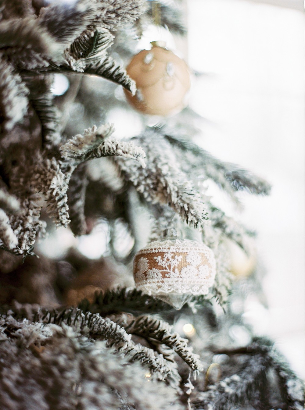 Christmas Family photoshoot