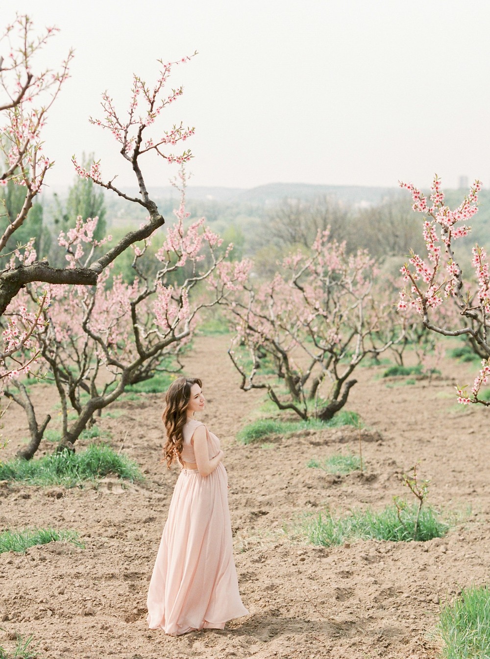 Spring blossom. Anna