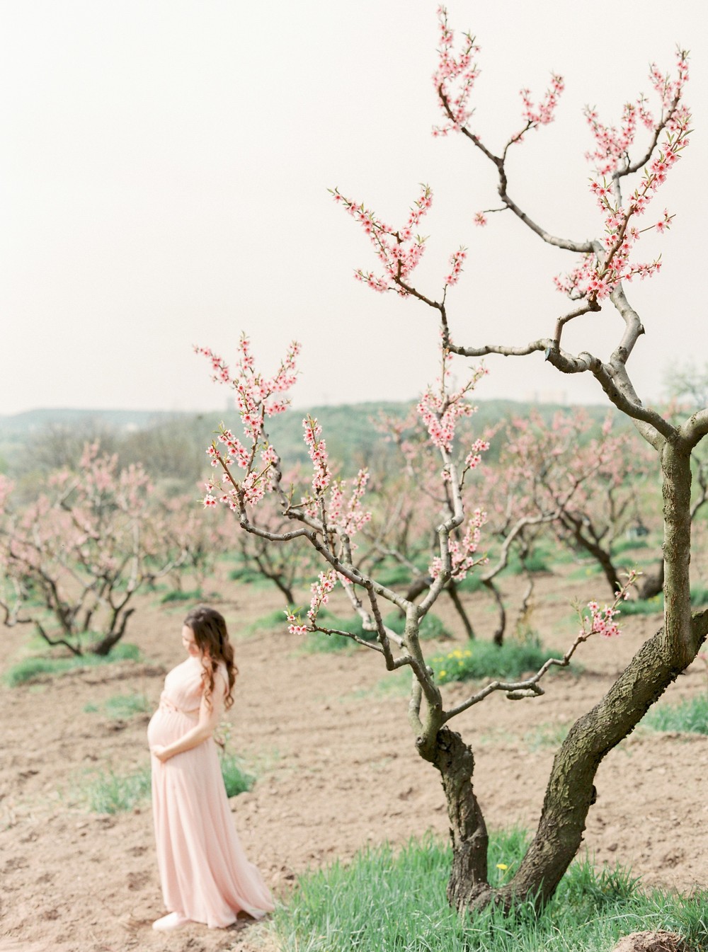 Spring blossom. Anna
