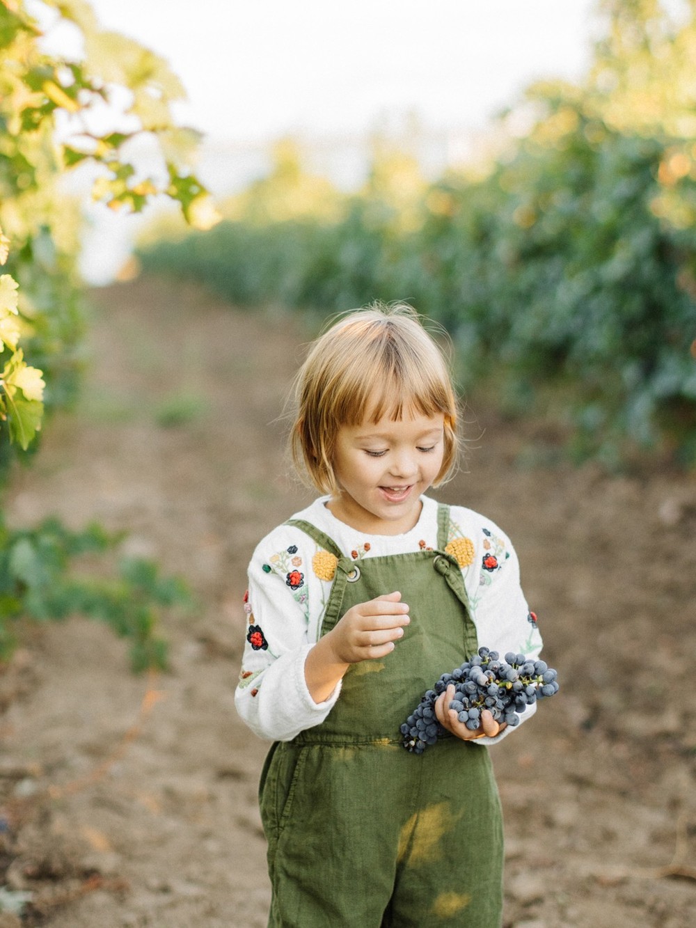 Family Vacation on the Winery