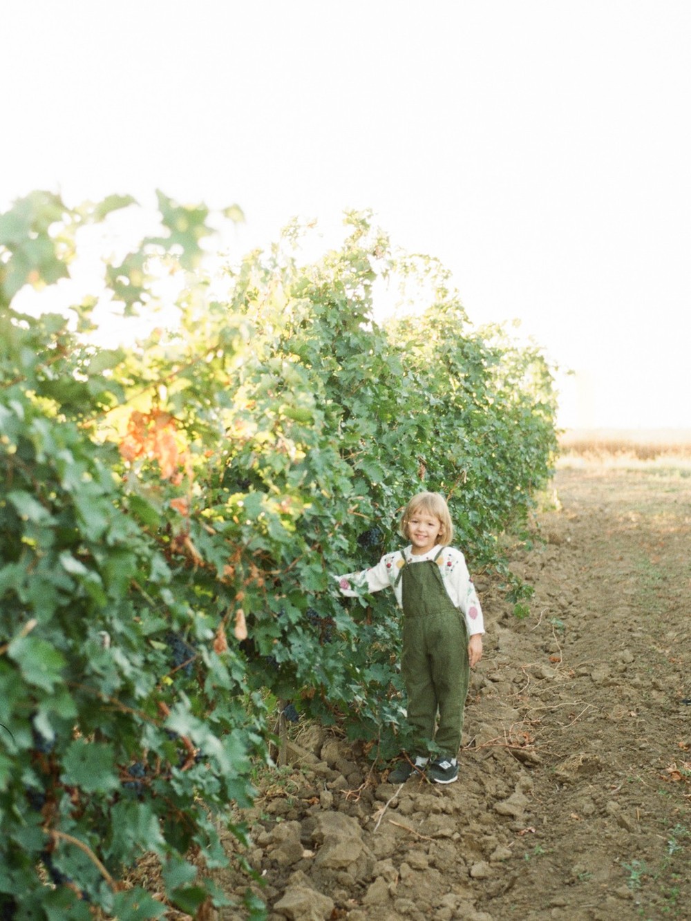Family Vacation on the Winery
