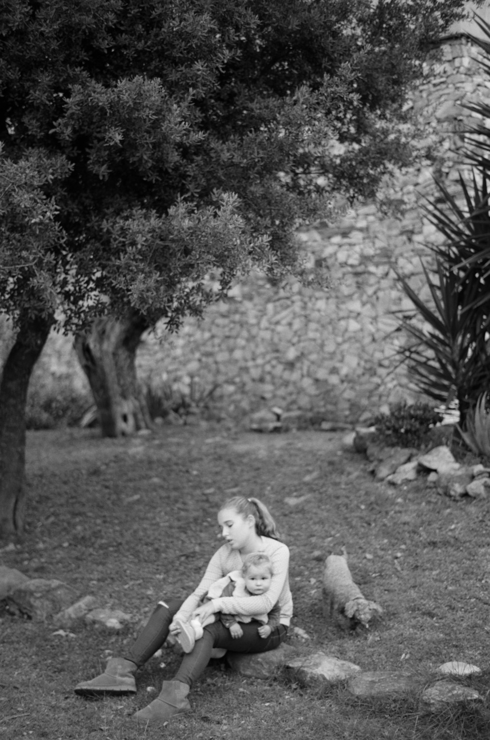 Spain Backyard Story