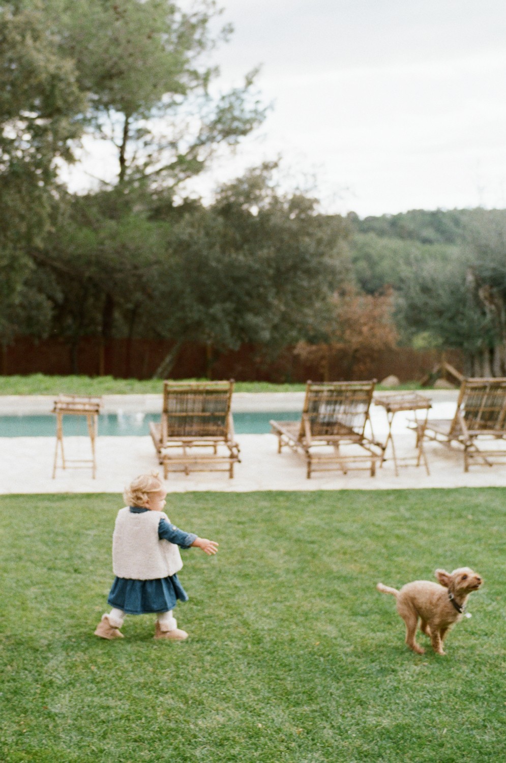 Spain Backyard Story